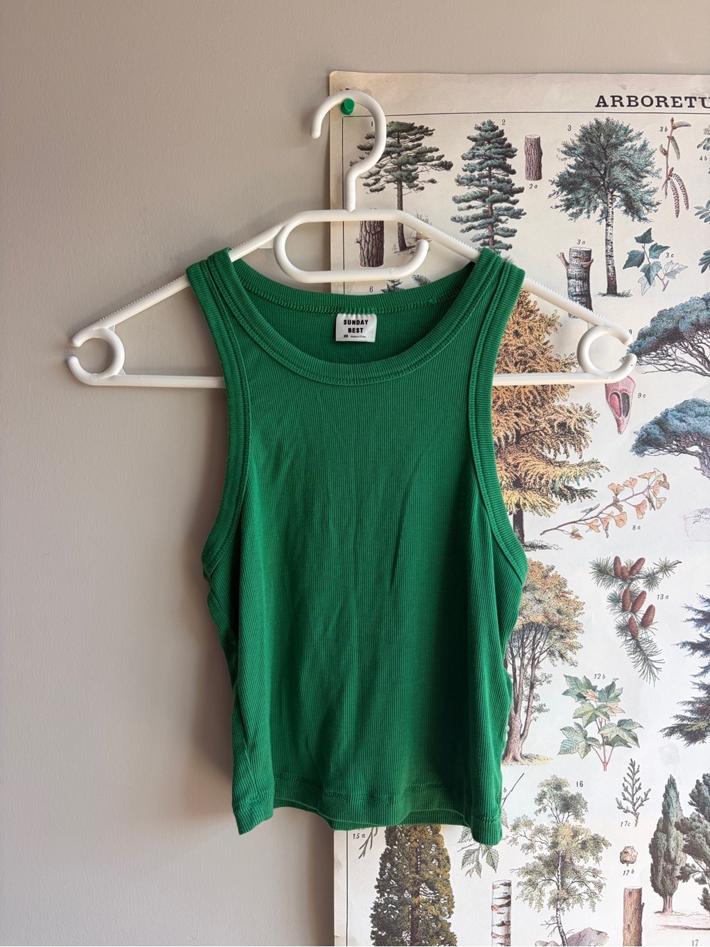 Sunday Best Women's Green Ribbed Tank Top XS
